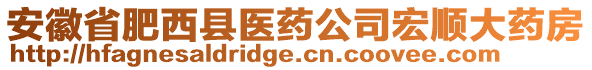 安徽省肥西縣醫(yī)藥公司宏順大藥房