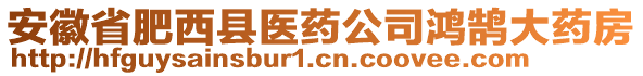 安徽省肥西縣醫(yī)藥公司鴻鵠大藥房