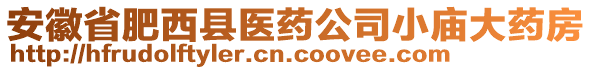 安徽省肥西縣醫(yī)藥公司小廟大藥房