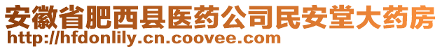 安徽省肥西縣醫(yī)藥公司民安堂大藥房