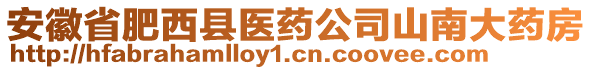 安徽省肥西縣醫(yī)藥公司山南大藥房