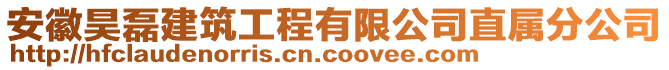 安徽昊磊建筑工程有限公司直屬分公司