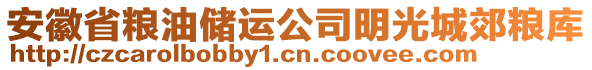 安徽省糧油儲運公司明光城郊糧庫