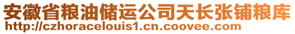 安徽省糧油儲(chǔ)運(yùn)公司天長(zhǎng)張鋪糧庫(kù)