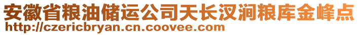 安徽省糧油儲(chǔ)運(yùn)公司天長(zhǎng)汊澗糧庫(kù)金峰點(diǎn)