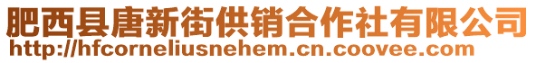 肥西縣唐新街供銷合作社有限公司