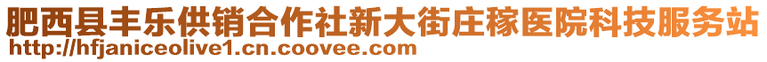 肥西縣豐樂供銷合作社新大街莊稼醫(yī)院科技服務(wù)站