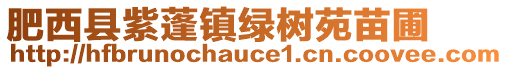 肥西縣紫蓬鎮綠樹苑苗圃