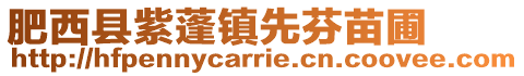 肥西縣紫蓬鎮先芬苗圃