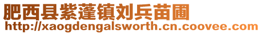肥西縣紫蓬鎮劉兵苗圃