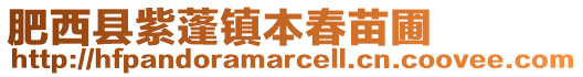 肥西縣紫蓬鎮本春苗圃