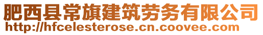 肥西縣常旗建筑勞務有限公司