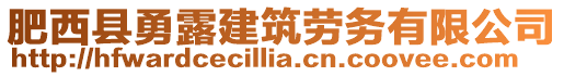 肥西縣勇露建筑勞務(wù)有限公司