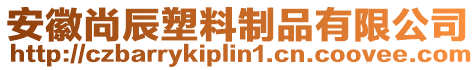 安徽尚辰塑料制品有限公司