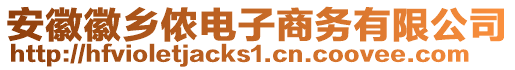 安徽徽鄉(xiāng)儂電子商務(wù)有限公司