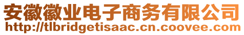 安徽徽業(yè)電子商務(wù)有限公司