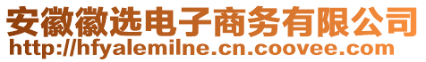 安徽徽選電子商務有限公司