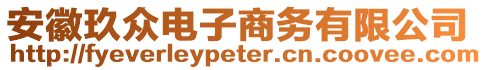 安徽玖眾電子商務(wù)有限公司