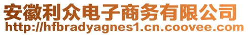 安徽利眾電子商務(wù)有限公司