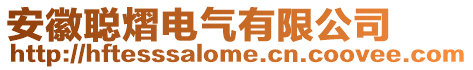 安徽聰熠電氣有限公司