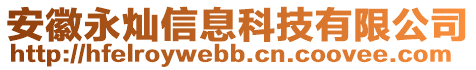 安徽永燦信息科技有限公司
