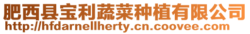 肥西縣寶利蔬菜種植有限公司