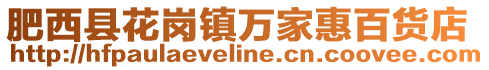 肥西縣花崗鎮萬家惠百貨店