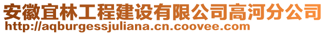 安徽宜林工程建設(shè)有限公司高河分公司
