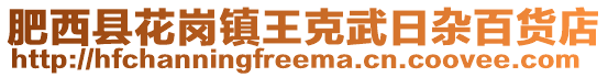 肥西縣花崗鎮(zhèn)王克武日雜百貨店