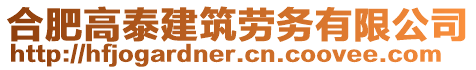 合肥高泰建筑勞務(wù)有限公司