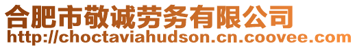 合肥市敬誠(chéng)勞務(wù)有限公司