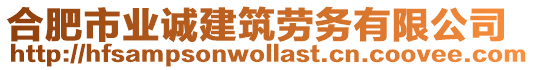 合肥市業(yè)誠建筑勞務(wù)有限公司