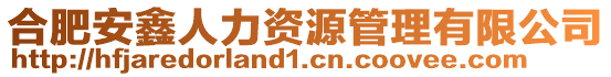 合肥安鑫人力資源管理有限公司