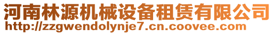 河南林源機(jī)械設(shè)備租賃有限公司