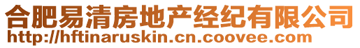 合肥易清房地产经纪有限公司