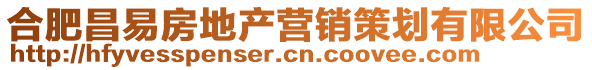 合肥昌易房地产营销策划有限公司