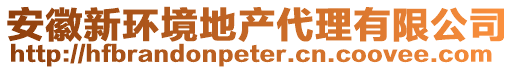 安徽新環(huán)境地產(chǎn)代理有限公司