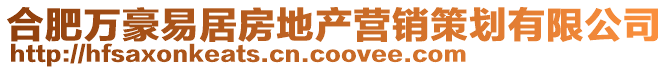 合肥万豪易居房地产营销策划有限公司