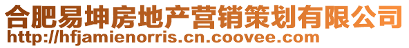 合肥易坤房地产营销策划有限公司