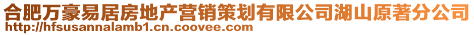 合肥万豪易居房地产营销策划有限公司湖山原著分公司