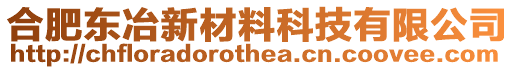 合肥東冶新材料科技有限公司