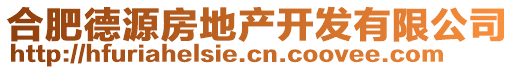 合肥德源房地產(chǎn)開發(fā)有限公司