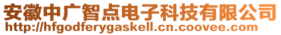 安徽中廣智點電子科技有限公司