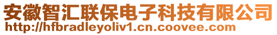 安徽智匯聯(lián)保電子科技有限公司