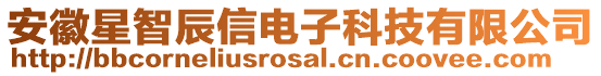 安徽星智辰信電子科技有限公司