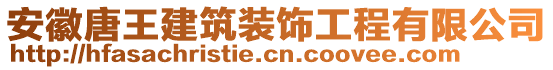 安徽唐王建筑裝飾工程有限公司