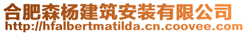 合肥森楊建筑安裝有限公司