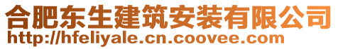 合肥東生建筑安裝有限公司