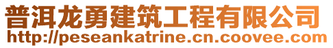 普洱龍勇建筑工程有限公司