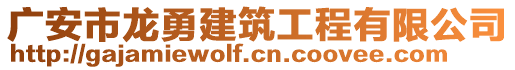 廣安市龍勇建筑工程有限公司